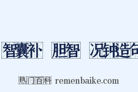 智囊补·胆智·况钟造句是什么意思的图片